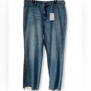 Carly Jean Wide Leg Denim Blue Jeans 1X
